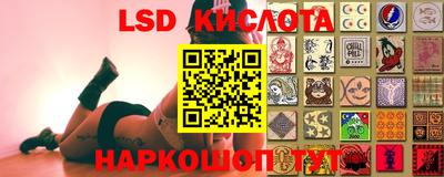 прущие грибы Новокубанск