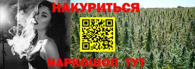 прущие грибы Новокубанск