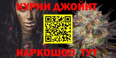 молекула духа Новозыбков