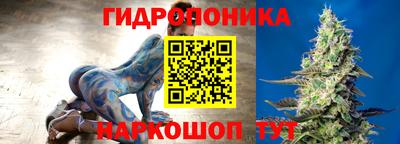 прущие грибы Новодвинск