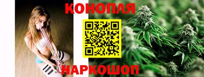 прущие грибы Новокубанск
