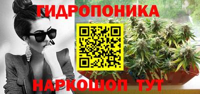 прущие грибы Новокубанск