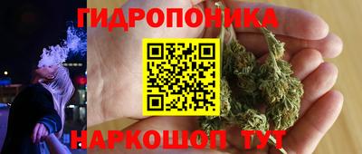 молекула духа Новозыбков