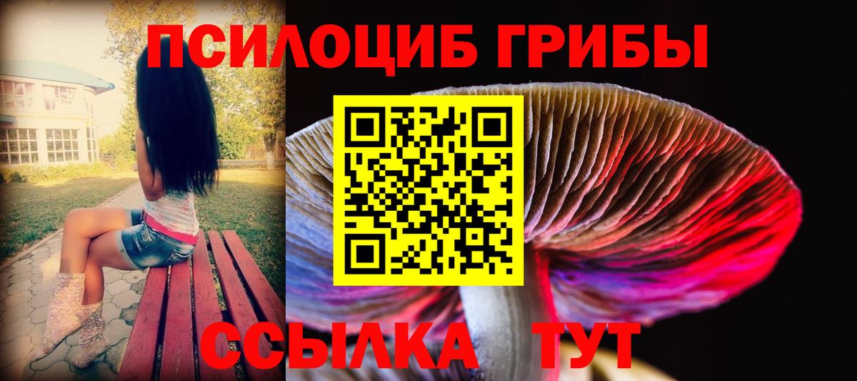 Серпухов  Галлюциногенные грибы Cubensis  Вход с VPN 